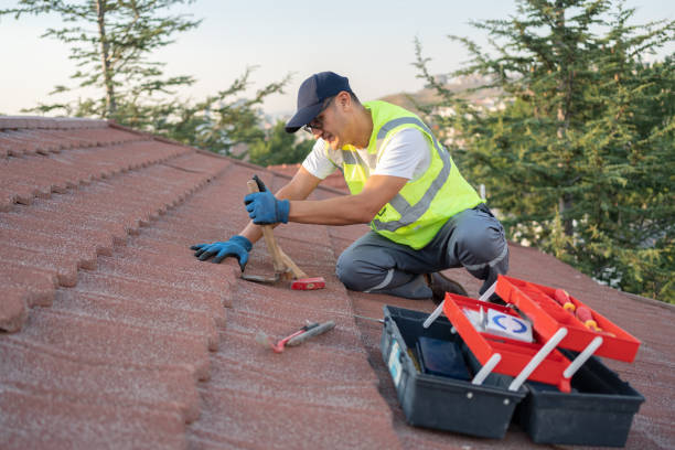 Best Roof Gutter Cleaning  in Upper Greenwood Lake, NJ